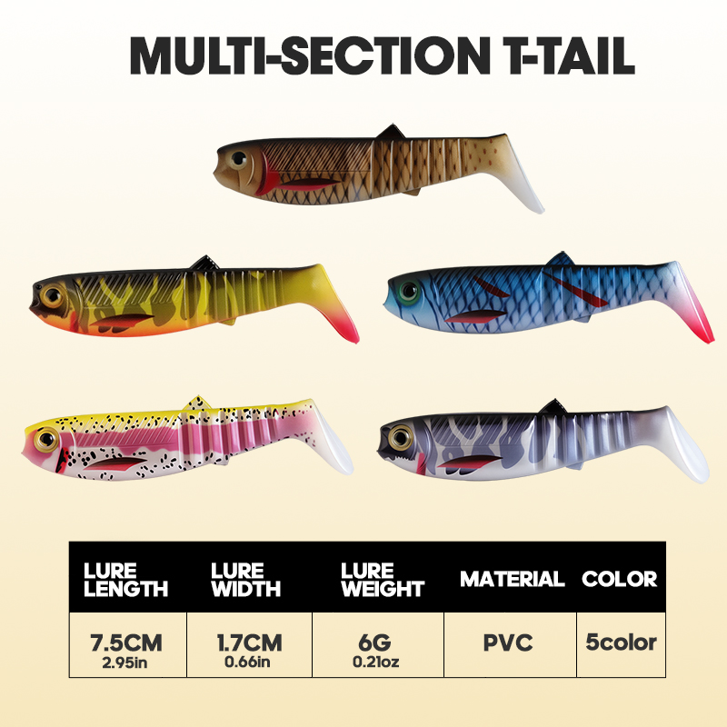 TAIYU 3 Stück 7,5cm 6g 3D Mehr – Fishing Lure Popper Bewertung und Preis